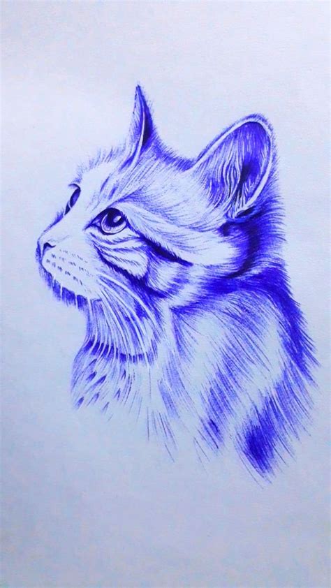 Cute little cat | Pen art work, Pen art drawings, Ink pen art