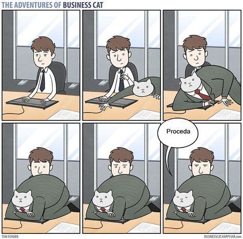 9 Best CatBoss images | Business cat, Cat comics, Cute cat memes
