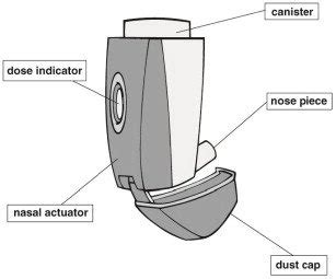 Ciclesonide Nasal Spray: Package Insert - Drugs.com