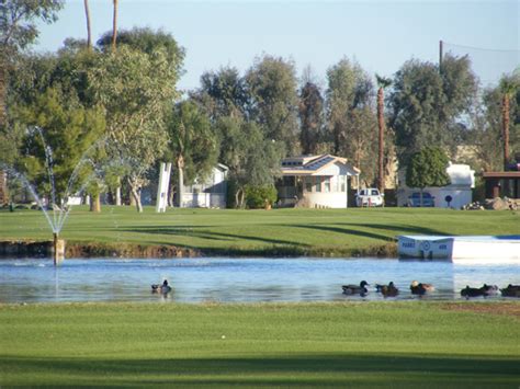 Desert Trails | Photo Gallery | RV Park and Golf Course