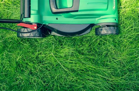 Lawn Care 101: How to Get the Perfect Grass – Golden Acre Home & Garden