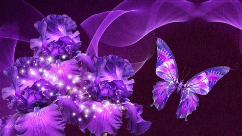 Purple Butterfly Wallpapers - Top Những Hình Ảnh Đẹp