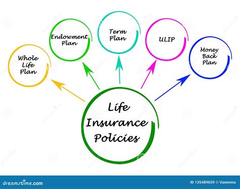 Life Insurance Policies stock illustration. Illustration of insurance ...