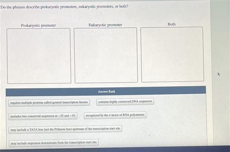 Solved Do the phrases describe prokaryotic promoters, | Chegg.com