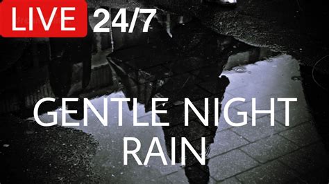 🔴24/7 Nonstop Heavy Rain to Sleep Well, ~ Study, Stop Insomnia, Block ...