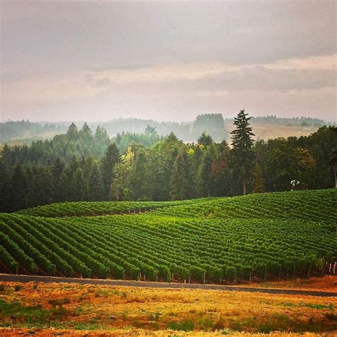 Willamette Valley Wineries — Tasting Page