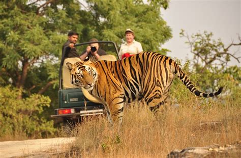 JIM CORBETT NATIONAL PARK