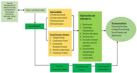 Forests | Free Full-Text | Integrating Social Forestry and Biodiversity Conservation in Indonesia