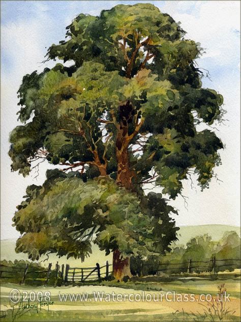 Anthony Forster Art Classes Watercolour Painting Tuition | Tree watercolor painting, Watercolor ...