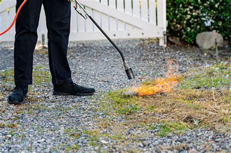 Gas Powered Weed Burner Stock Photo - Download Image Now - iStock