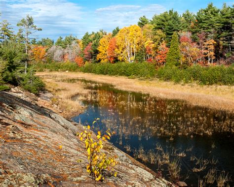 Chris Lepard - French River, Ontario