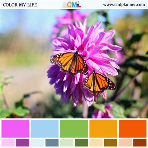 Butterfly Flowers – Color My Life | Spring color palette, Color, Butterfly flowers