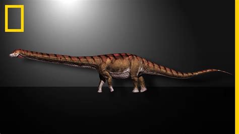 Este es el DINOSAURIO más grande DESCUBIERTO.El PATAGOTITAN MAYORUM ...