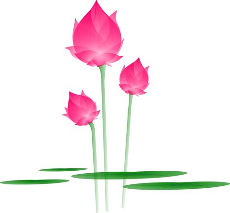 Lotus Logo Vector Png