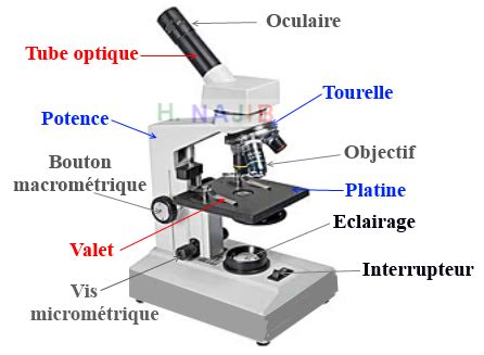 Optique Instrumentale || Travaux Pratiques Microscope | Najib Optique Quantique