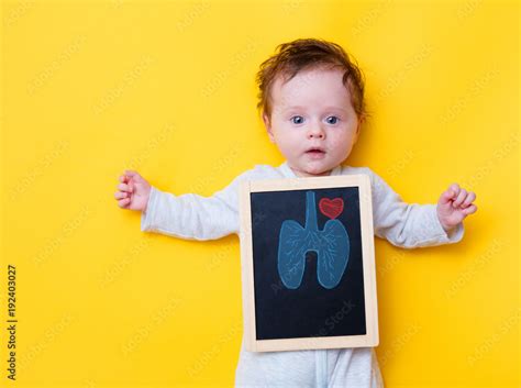 little baby with X-ray board and drawing lungs and heart Stock Photo ...