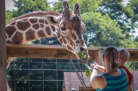 Plumpton Park Zoo Is The Most Underrated Animal Park In Maryland