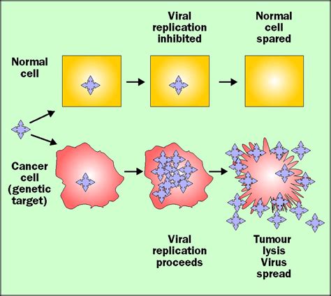 Mesothelioma Chemotherapy Success Rate