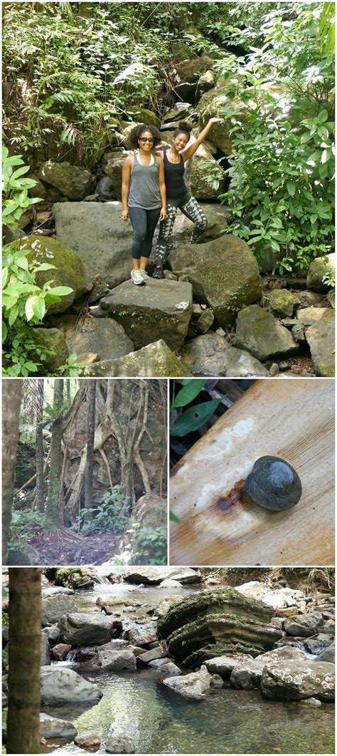 Hiking La Mina Falls trail in El Yunque Rainforest, Puerto Rico - Honey + Lime