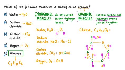 Question Video: Identifying an Organic Molecule | Nagwa