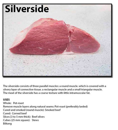 silverside - BeeftalkSA