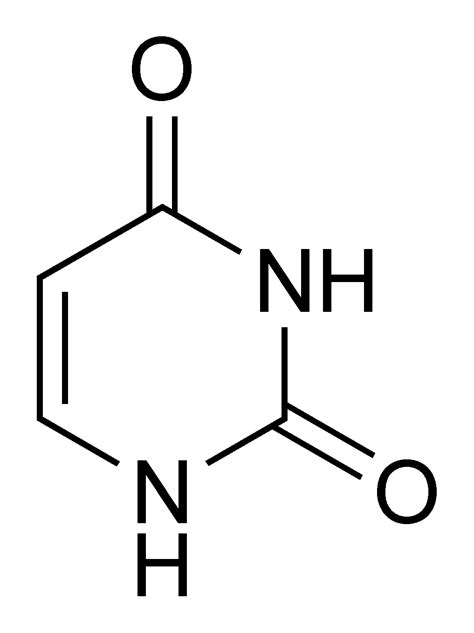 Nucleoside - wikidoc