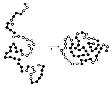 1: Pictorial description of globular protein folding. The left part ...