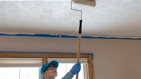 7 Best Paint Rollers for Ceilings in 2021 Compared & Reviewed | Wezaggle