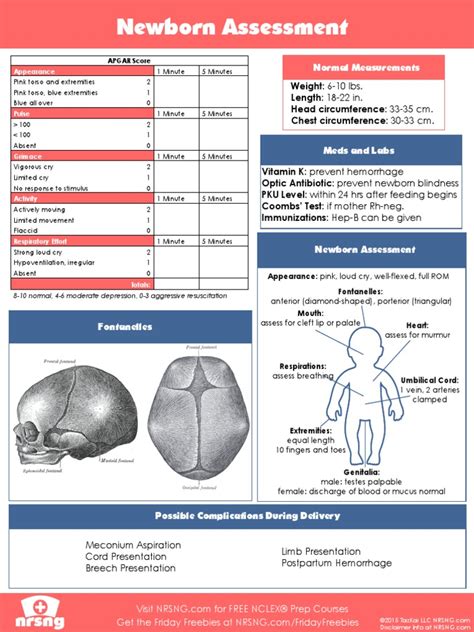 Newborn Assessment Chart | PDF | Medicine | Clinical Medicine