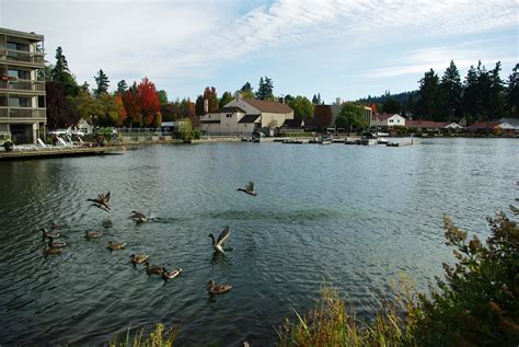 File:Lake Oswego from north side near east end of Lakewood Bay with ducks in flight - Oregon.JPG ...