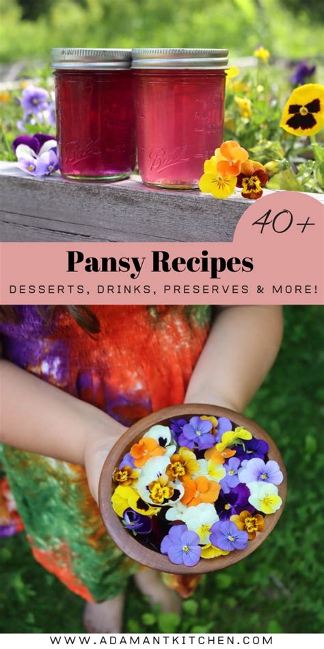 40+ Pansy Recipes (Yes, Pansies are edible!) - Adamant Kitchen