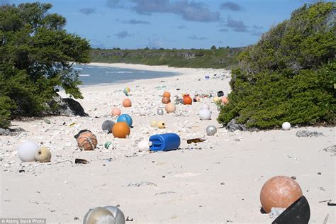 Plastic island: Uninhabited Pacific island covered with 18 tons of plastic waste – TheLiberal.ie ...