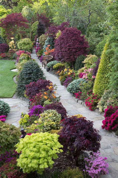 Japanese Garden Shrubs Uk - Okejely Garden Plant