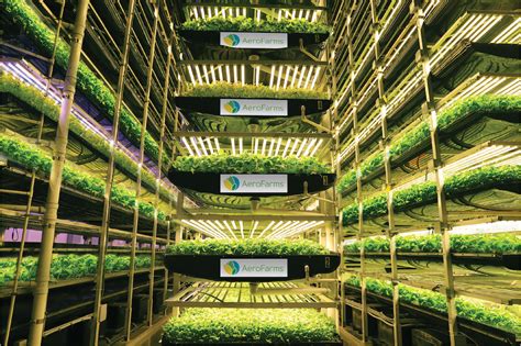 Vertical Farming: the Key to Sustainably Feeding 9 Billion People by 2050?