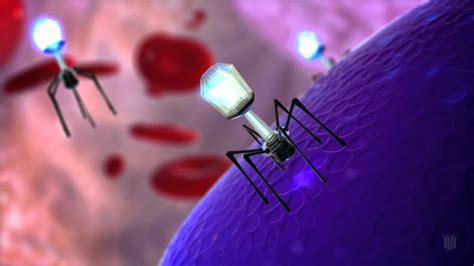 Bacteriophage Lytic Cycle (2011) - CSU Animation & Visual Effects - YouTube