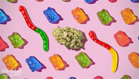 The Best Weed Gummies Recipe: Worms & Sour Bears! - Herbies Seeds