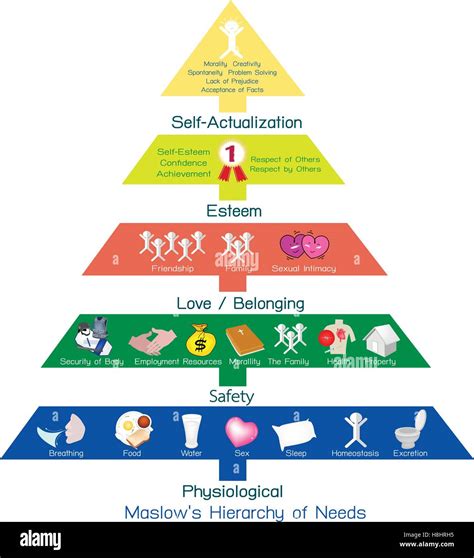 Pyramide Maslow Infographic Psychologie Pyramid Vektor Maslow | Images ...