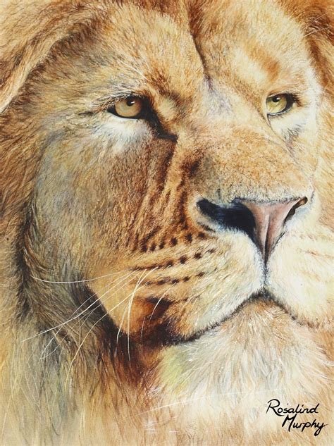 Lion Eyes print of Original Watercolour - Etsy