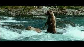 Best of strange wilderness-shark - Free Watch Download - Todaypk