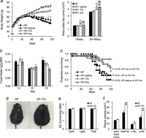 Treatment of diabetic mice with the SGLT2 inhibitor TA-1887 antagonizes diabetic cachexia and ...