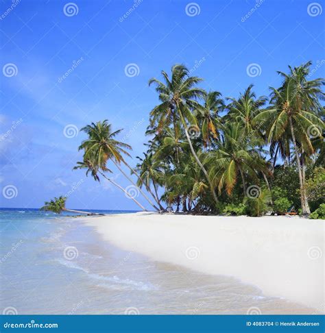 Tropical island, Maldives stock photo. Image of holiday - 4083704