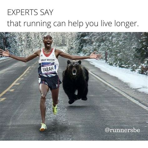 Looking for a great running meme? These will speak to runners of every level because they're ...