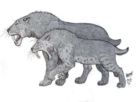 Smilodon by HodariNundu on DeviantArt