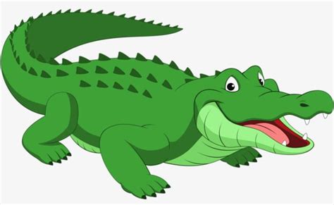 crocodile clipart,green crocodile leather,crocodile,yang crocodile ...