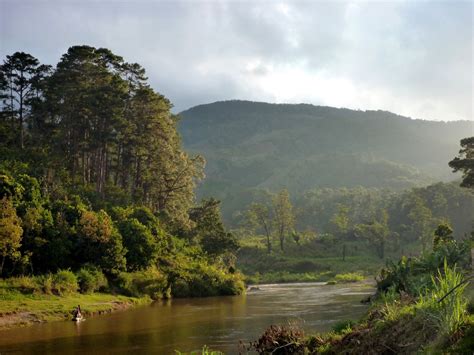 Visiter Le Parc de Ranomafana, Madagascar - A faire, à voir à Le Parc de Ranomafana - Les ...