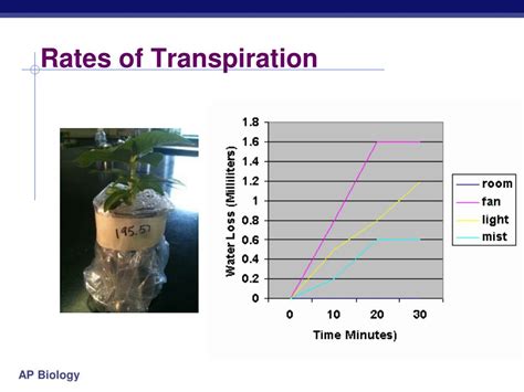 Transpiration Rate