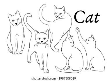 Cat Line Art Pose Illustration Stroke Stock Illustration 1987309019 ...
