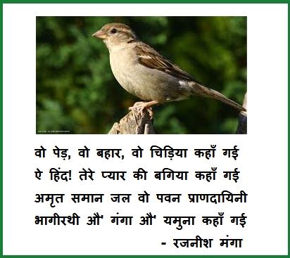 Sparrow / चिड़िया (Hindi) Poem by Rajnish Manga - Poem Hunter