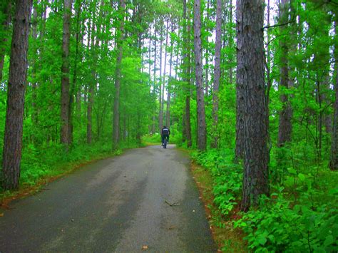 Psyche's Visage: Itasca State Park