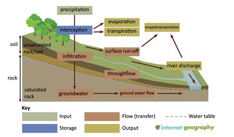 The drainage basin: a component of the water cycle - Internet Geography